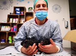Ambulatorio Veterinario Mattia Rista
