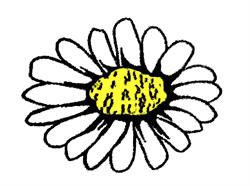 Bottega dei Fiori