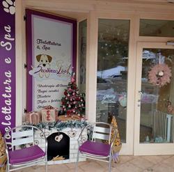 Toelettatura & Spa Scodinzolook