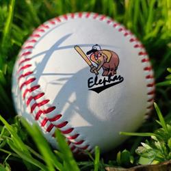 Elephas Cesena Baseball
