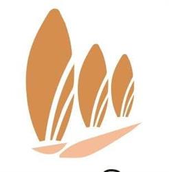 Mandorle di Sardegna