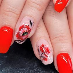 Delyziose MANI di Del Toso Adelina