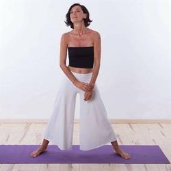 Il Circolo dello Yoga
