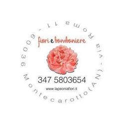 La Peonia fiori e bomboniere