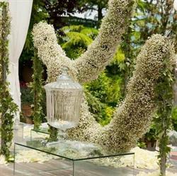Clorofilla floral style