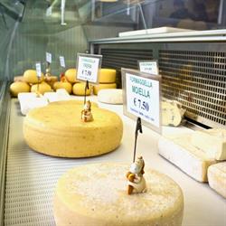 Società Agricola Le Campagnole
