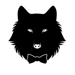 MR WOLF