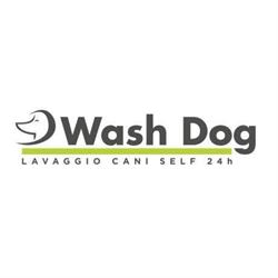 Wash Dog Talsano