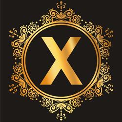 X Hotel