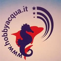 hobbyacqua