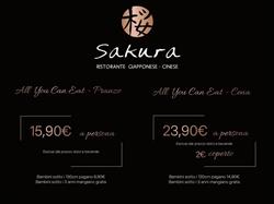 Sakura Vigevano