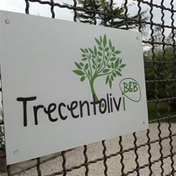 Trecentolivi b&b