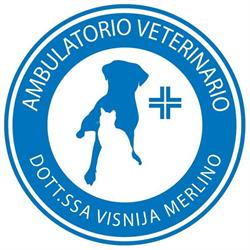 Ambulatorio Veterinario Dott.ssa Visnija Merlino