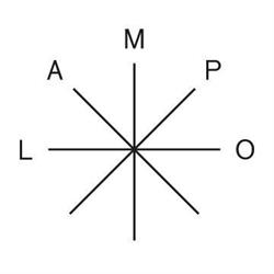 Studio Lampo