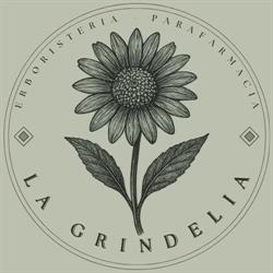 La Grindelia