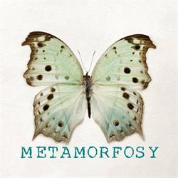 Metamorfosy  - Livorno