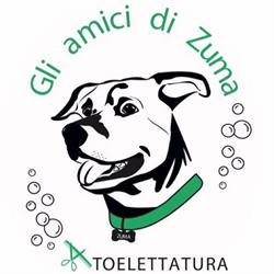 Toelettatura - Gli amici di Zuma