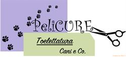 Toelettatura Pelicure