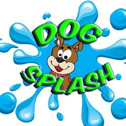Dog Splash amici con la coda Casale Sul Sile