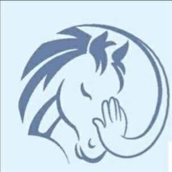 Centro Equestre - Il Primo Cavaliere