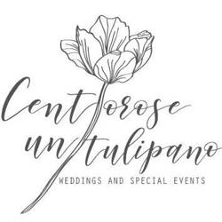 cento rose e un tulipano