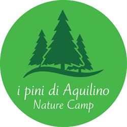 i pini di Aquilino