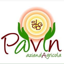 Agri Ristorante Stuzzicheria Pavin