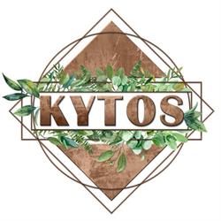 Kytos Ponte milvio