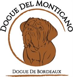 Dogue del Monticano