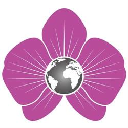 Mondo Orchidea