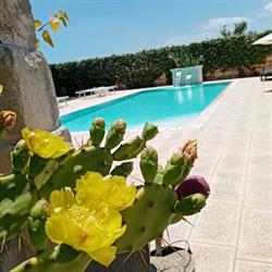 B&B Il Giardino del Tiglio