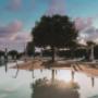 Camping Bisceglie Brezza tra gli Ulivi 2