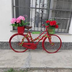 B. & B. Il Pozzo