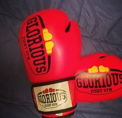 Glorious Fight Gym
