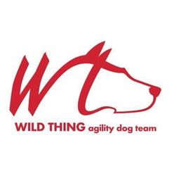 WILD THING Agility Dog