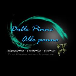 Dalle Pinne Alle Penne