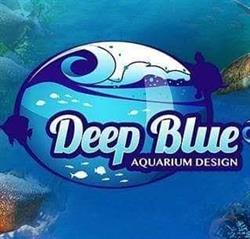 Deep Blue Aquarium Design