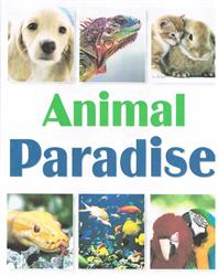 Animal Paradise
