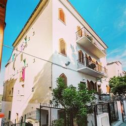 B&B Rose Villa