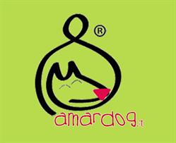Amardog asd