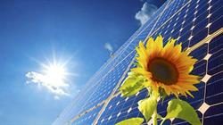 Energy Future srls