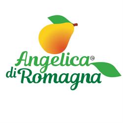 Angelica di Romagna Az. Agricola Alessandri