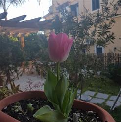 Villa Carati Bed & Breakfast