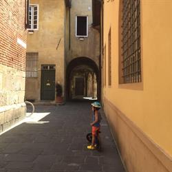Al Cardinale Lucca Rooms & Studios