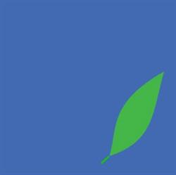 Mango Tree Montessori Lab