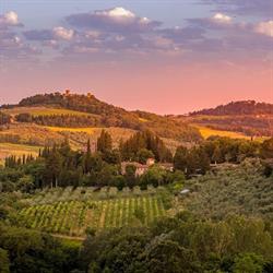 poderi in chianti