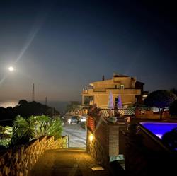 The Lemon Tree Apartments