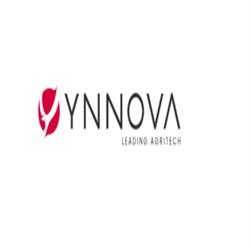 Ynnova