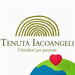 Tenuta Iacoangeli