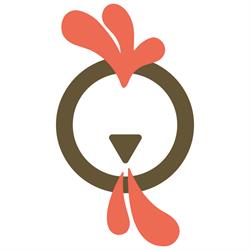Opollo